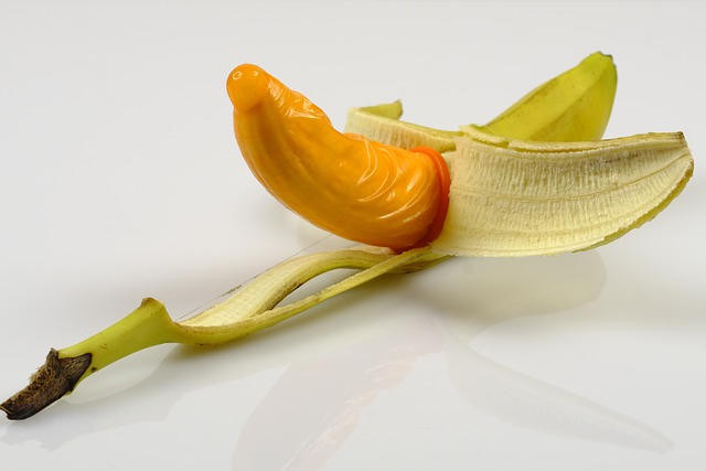 penis